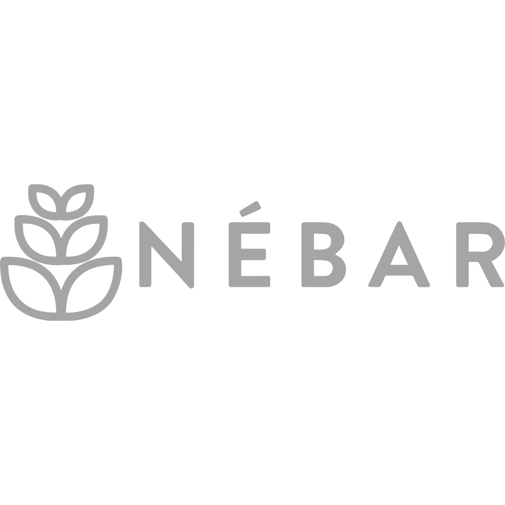 marketing-mentor-neabr-logo